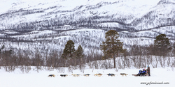 abisko_16-02-12_13-23-46_034.jpg