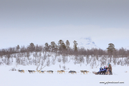 abisko_16-02-12_13-28-11_036.jpg