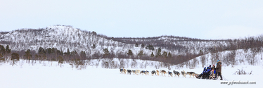 abisko_16-02-12_13-28-16_037.jpg