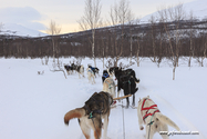 abisko_16-02-12_13-34-11_039.jpg