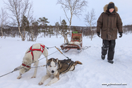 abisko_16-02-12_13-41-30_042.jpg