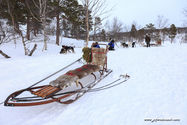 abisko_16-02-12_13-43-53_043.jpg