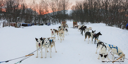 abisko_16-02-12_15-11-54_055.jpg