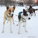 abisko_16-02-12_15-13-03_059.jpg