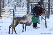 Kiruna_16-02-10_08-14-52_034.jpg