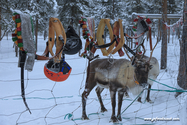 Kiruna_16-02-10_13-53-10_066.jpg