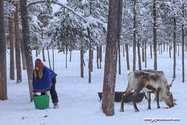 Kiruna_16-02-11_08-26-37_083.jpg