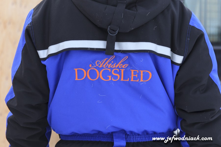 Abisko Dog Sled