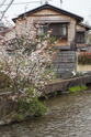 Kyoto_13-04-02_06-58-15_120.jpg