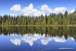 Lire la suite à propos de l’article Canada: Lake reflections.