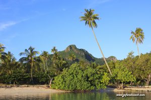 Lire la suite à propos de l’article Polynésie: Maupiti une idée du paradis.