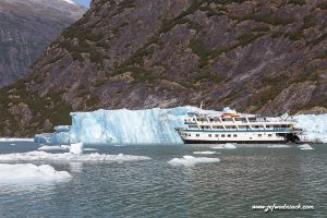 Lire la suite à propos de l’article USA: des glaciers à Juneau en Alaska.