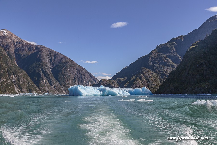 Iceberg dans le fjord Tracy Arm