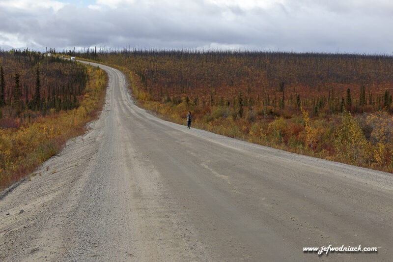 Lire la suite à propos de l’article Yukon et Alaska: Top of the world highway.