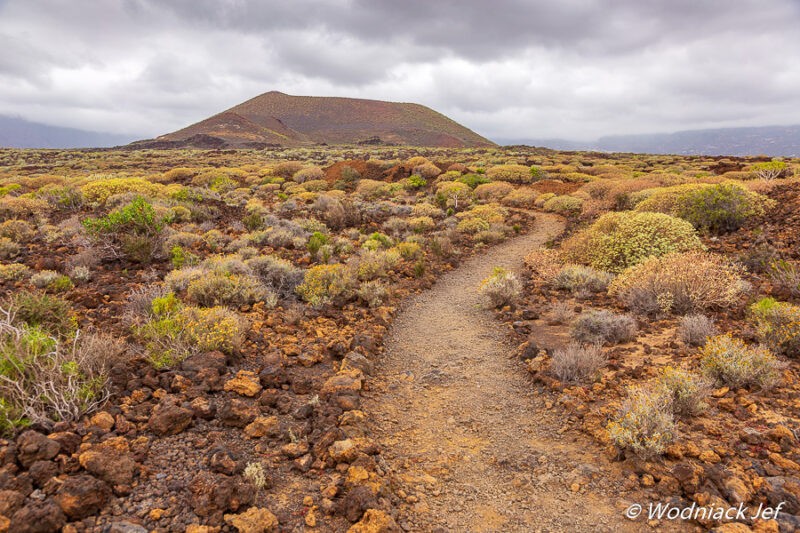 Lire la suite à propos de l’article Canaries: Randonnée  dans le parc de Malpaís à Tenerife.