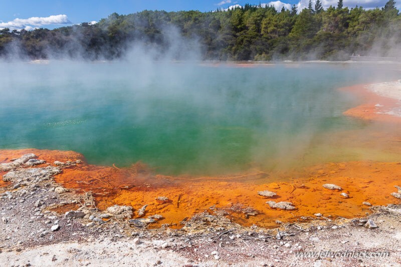 Lire la suite à propos de l’article Nouvelle Zélande: Sources chaudes  à Wai O Tapu