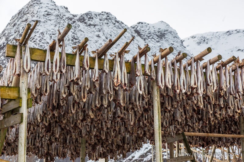 Lire la suite à propos de l’article Norvège : La saison du Stockfish.