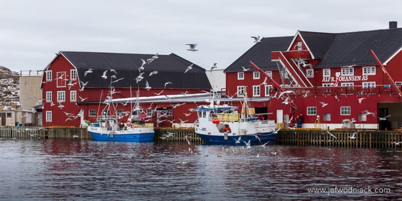 Lire la suite à propos de l’article Norvège : Les petits ports des Lofoten.