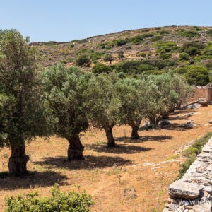 Grèce: randonnées sur l’île de Naxos.