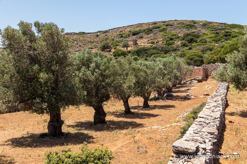 Lire la suite à propos de l’article Grèce: randonnées sur l’île de Naxos.